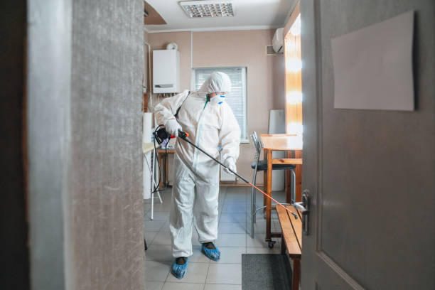 Best Mold Odor Removal Services  in Ashland, AL
