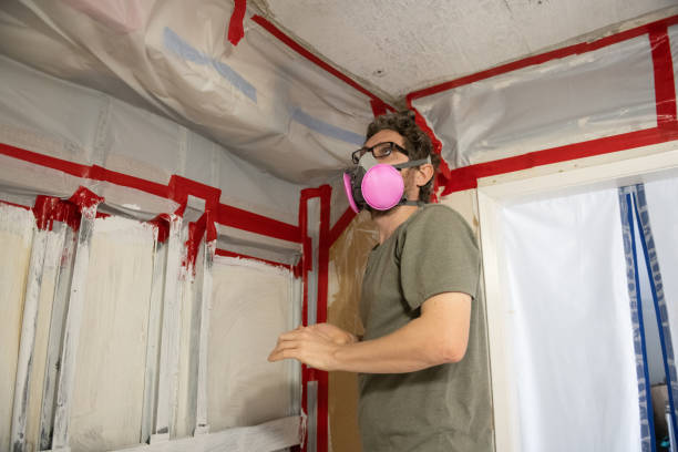 Mold Removal for HVAC Installations in Ashland, AL